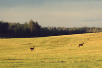 Farming in Stratton, Ontario