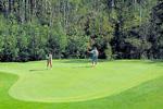 Golf Greens